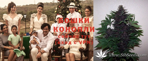 шишки Алзамай